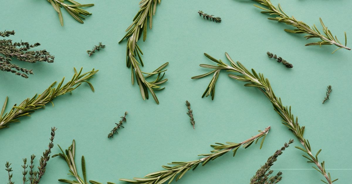 Le secret du romarin pour des cheveux plus forts, plus brillants et pleins de vie
