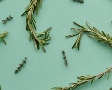 Le secret du romarin pour des cheveux plus forts, plus brillants et pleins de vie