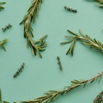 Le secret du romarin pour des cheveux plus forts, plus brillants et pleins de vie